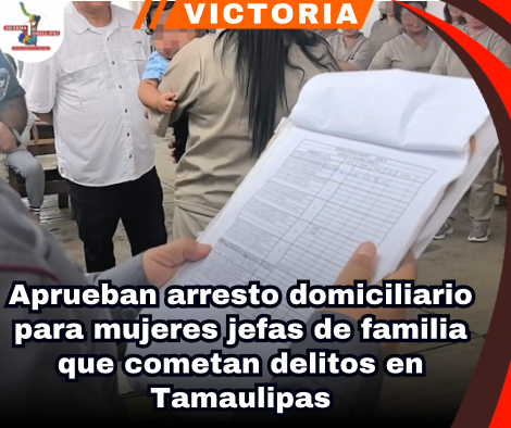 copia-de-portada-notas-2.png
