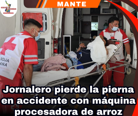 copia-de-portada-notas-2-2.png