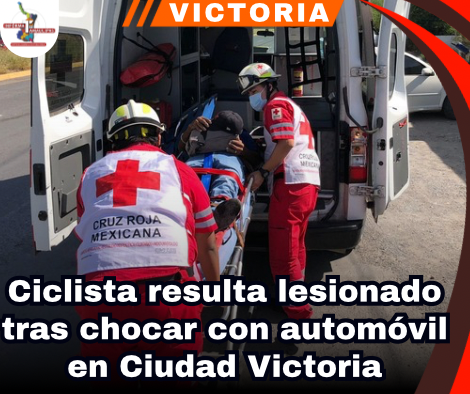 copia-de-portada-notas-2-2.png