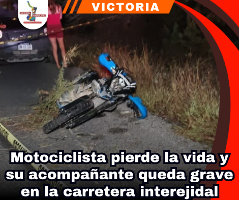 copia-de-portada-notas-2-2.png