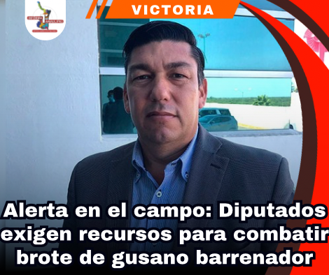copia-de-portada-notas-2-2.png