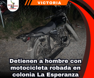 copia-de-portada-notas-2-2.png