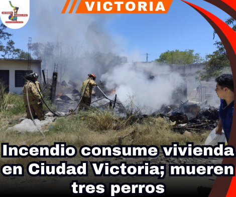 copia-de-portada-notas-2-2.png