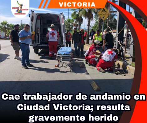 copia-de-portada-notas-2-3.png