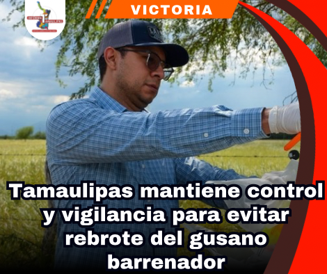 copia-de-portada-notas-2-4.png