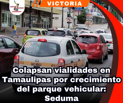 copia-de-portada-notas-2-4.png
