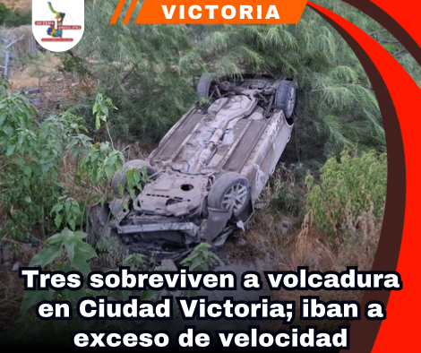 copia-de-portada-notas-2.png