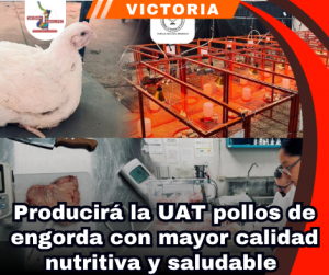 copia-de-portada-notas-2.png