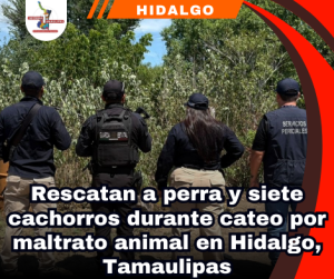 Copia de portada Notas 2 (49)