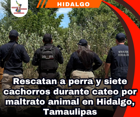 Copia de portada Notas 2 (49)