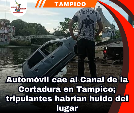 copia-de-portada-notas-2-.png