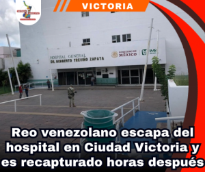 copia-de-portada-notas-2-1.png