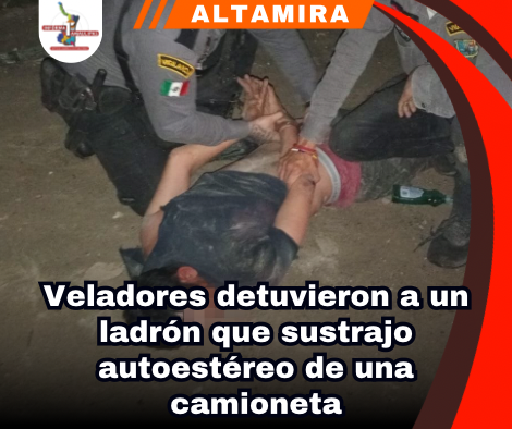 copia-de-portada-notas-2-1.png