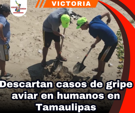 copia-de-portada-notas-2-1.png
