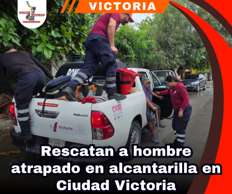 copia-de-portada-notas-2-1.png