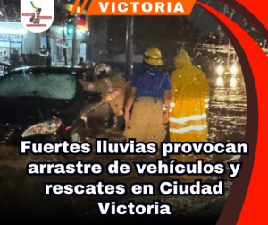 copia-de-portada-notas-2-2.png
