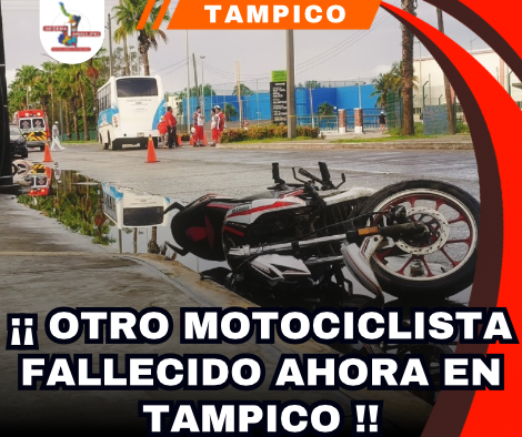 copia-de-portada-notas-2-2.png
