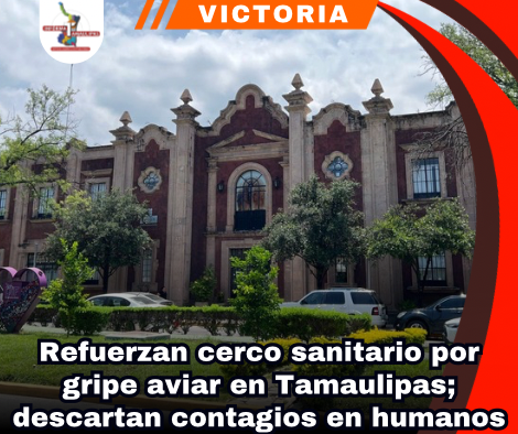 copia-de-portada-notas-2-2.png