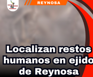 copia-de-portada-notas-2-2.png