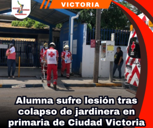 copia-de-portada-notas-2.png
