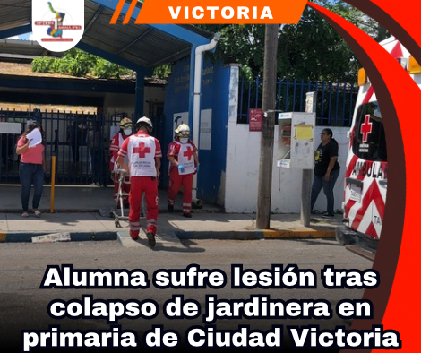 copia-de-portada-notas-2.png