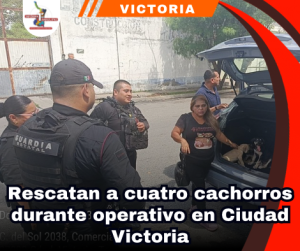 copia-de-portada-notas-2.png
