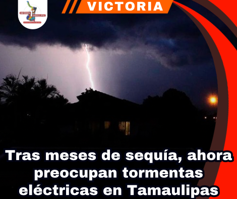 copia-de-portada-notas-2.png