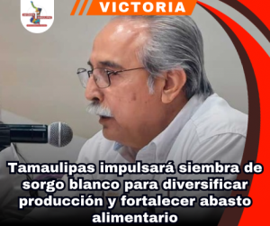 copia-de-portada-notas-2.png
