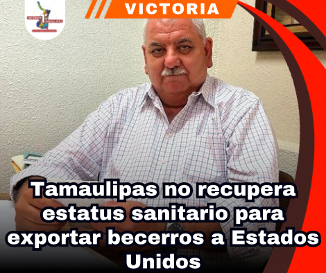 copia-de-portada-notas-2.png