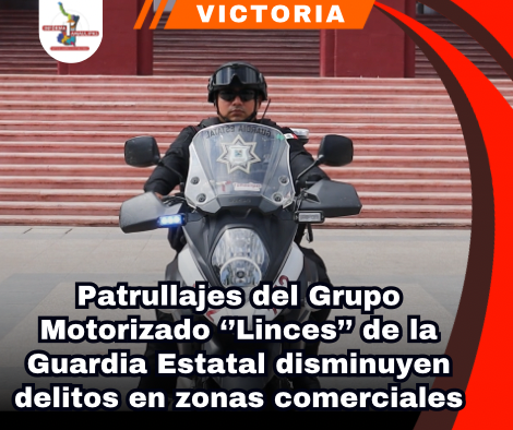 copia-de-portada-notas-2.png