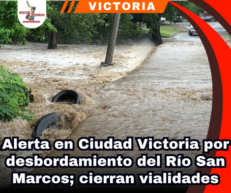 copia-de-portada-notas-2-1.png