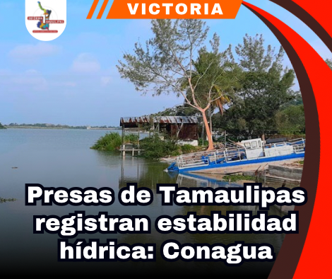 copia-de-portada-notas-2-1.png
