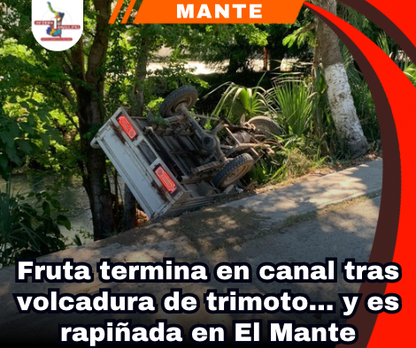 copia-de-portada-notas-2-1.png