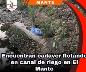 copia-de-portada-notas-2-1.png