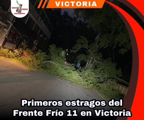 copia-de-portada-notas-2-1.png