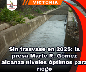 copia-de-portada-notas-2.png