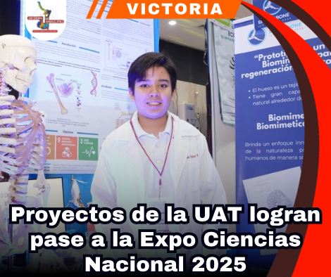 copia-de-portada-notas-2.png