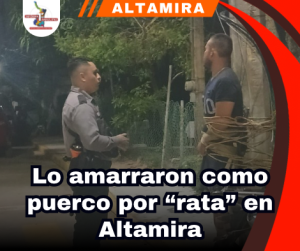 copia-de-portada-notas-2.png