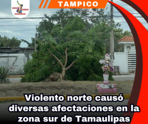 copia-de-portada-notas-2.png