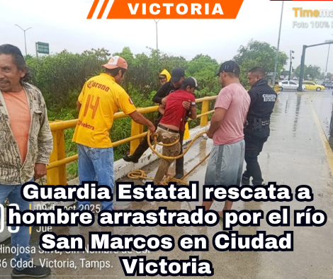 copia-de-portada-notas-2-2.png
