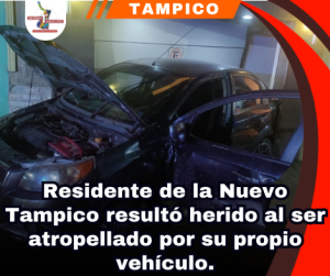 copia-de-portada-notas-2-2.png