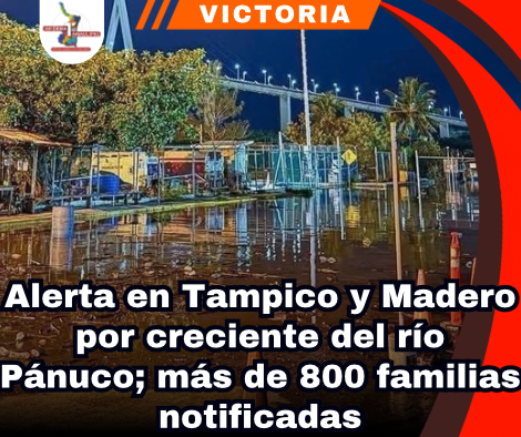 copia-de-portada-notas-2-2.png