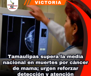 copia-de-portada-notas-2-2.png