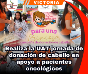 copia-de-portada-notas-2-2.png
