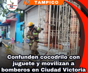 copia-de-portada-notas-2.png