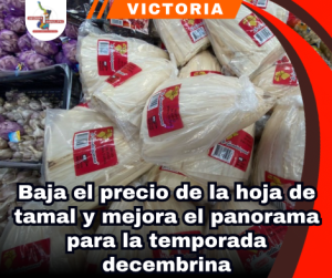copia-de-portada-notas-2-3.png