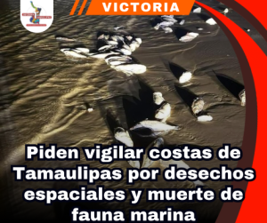 copia-de-portada-notas-2-3.png