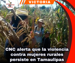 copia-de-portada-notas-2-3.png