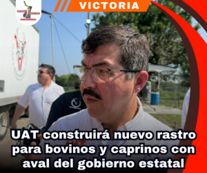 copia-de-portada-notas-2-3.png