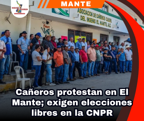 copia-de-portada-notas-2-3.png